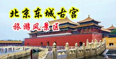 黄色很色操B视频中国北京-东城古宫旅游风景区